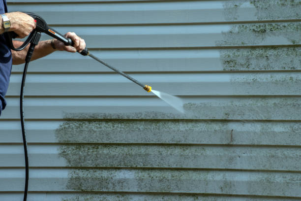 Best Patio and Deck Pressure Washing  in Lake Wilderness, VA